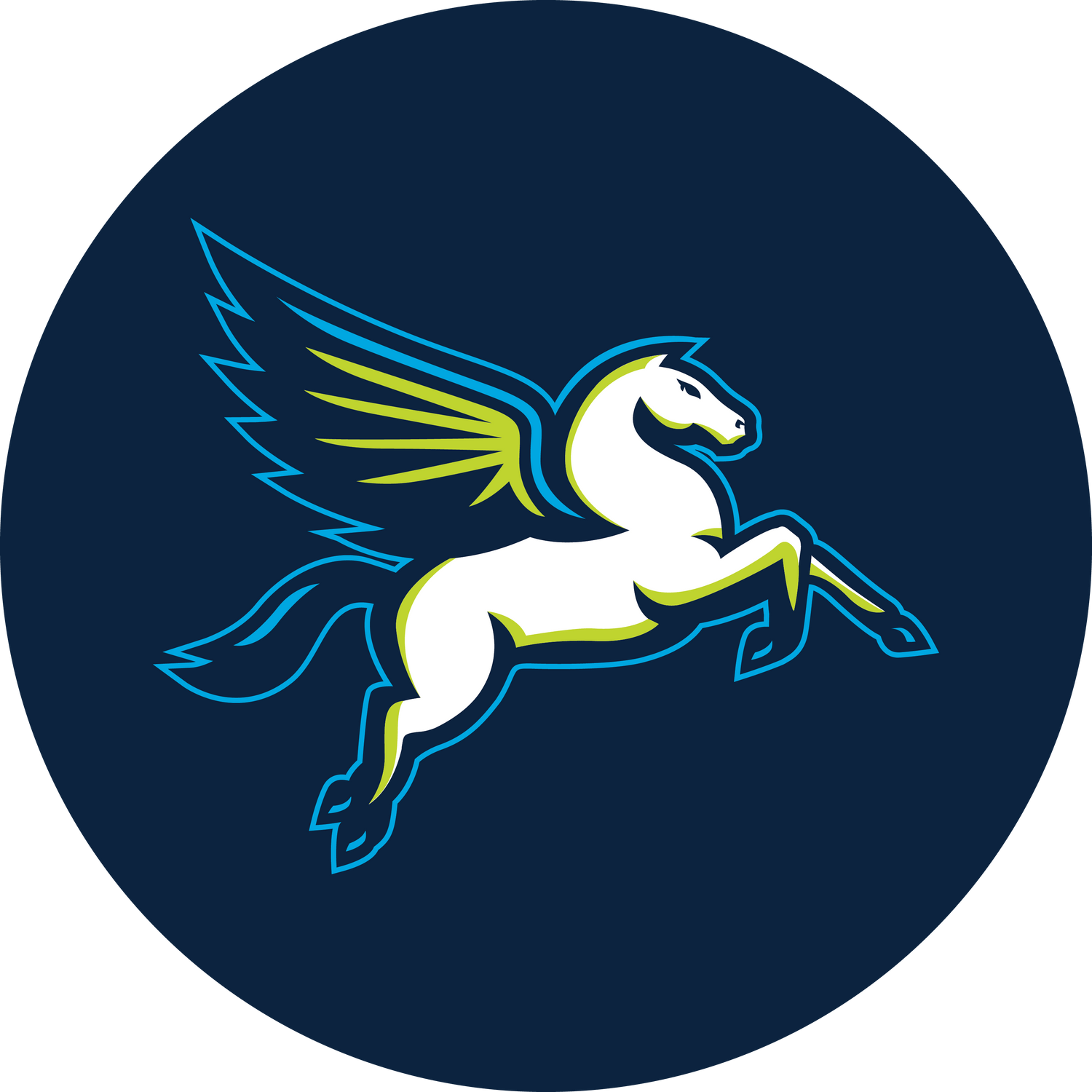 Dallas Wings