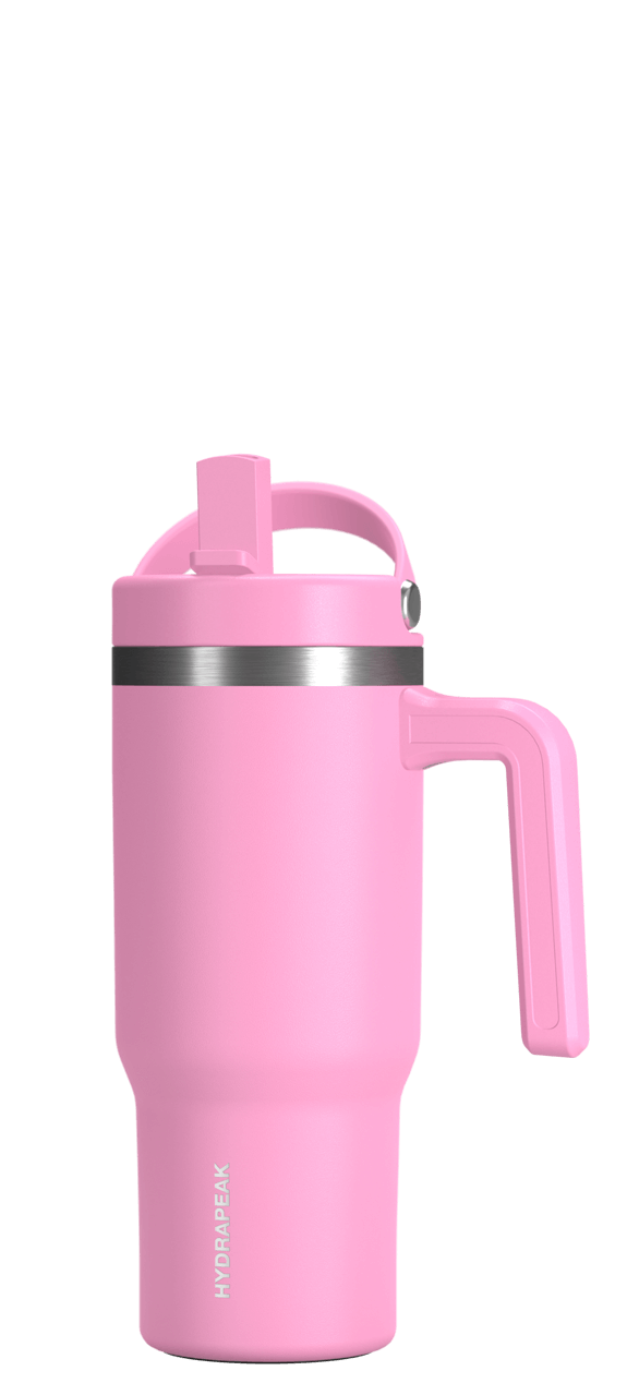 Voyager Kid's 18 oz Tumbler With Handle and Straw Lid - Bubblegum