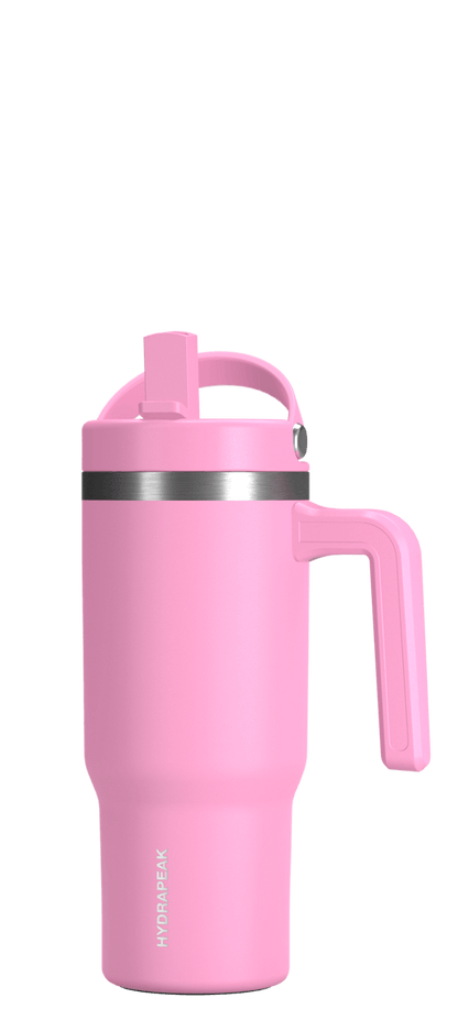 Voyager Kid's 18 oz Tumbler With Handle and Straw Lid - Bubblegum