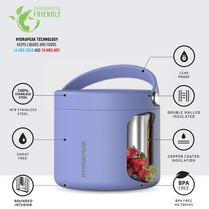 Foodie 18oz Stainless Steel Vacuum Insulated Thermos Food Jar - Iris