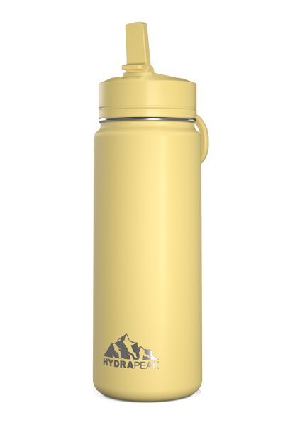 Mini 20oz Stainless Steel Kids Water Bottle with Straw Lid - Canary