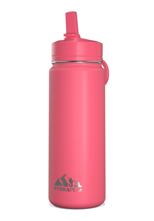 Mini 20oz Stainless Steel Kids Water Bottle with Straw Lid - Neon Crush