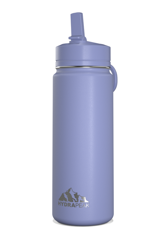 Mini 20oz Stainless Steel Kids Water Bottle with Straw Lid - Periwinkle