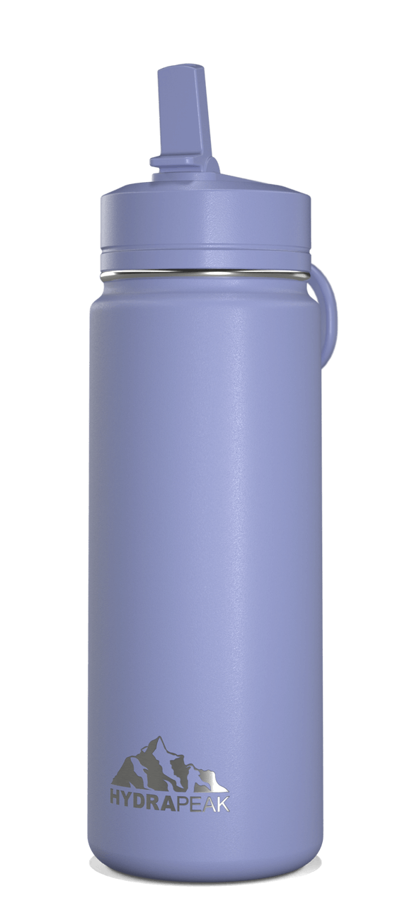 Mini 20oz Stainless Steel Kids Water Bottle with Straw Lid - Periwinkle