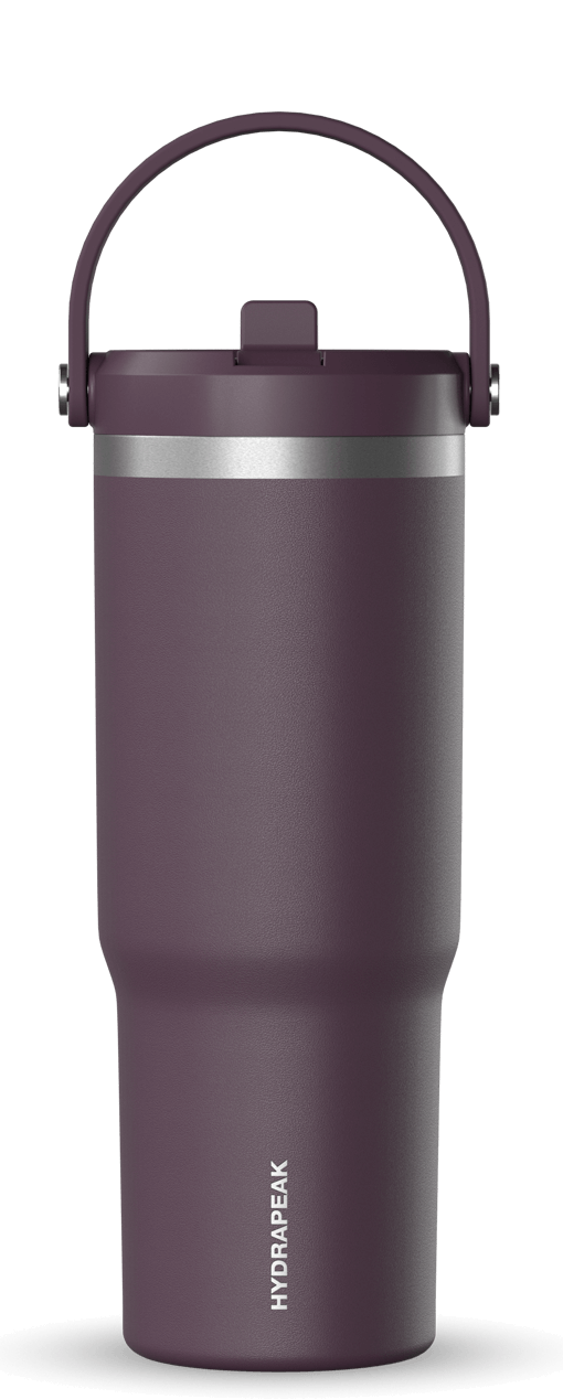 32oz Nomad with Handle and Straw Lid - Midnight Plum