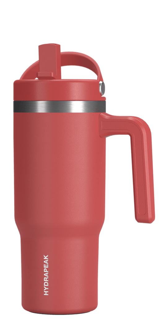 18oz Voyager Kid's With Handle and Straw Lid