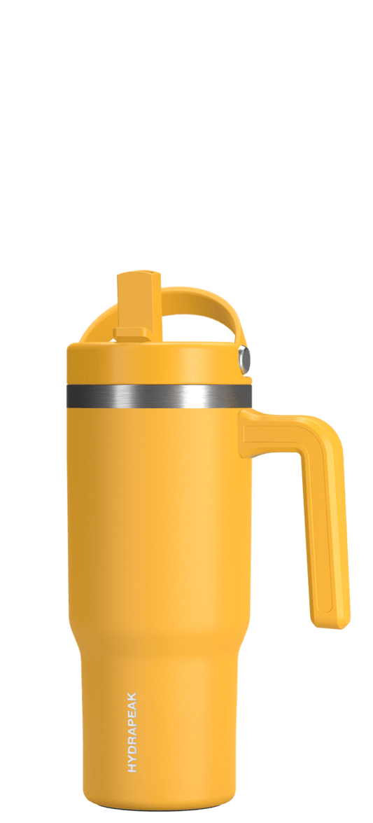 Voyager Kid's 18 oz Tumbler With Handle and Straw Lid - Mango