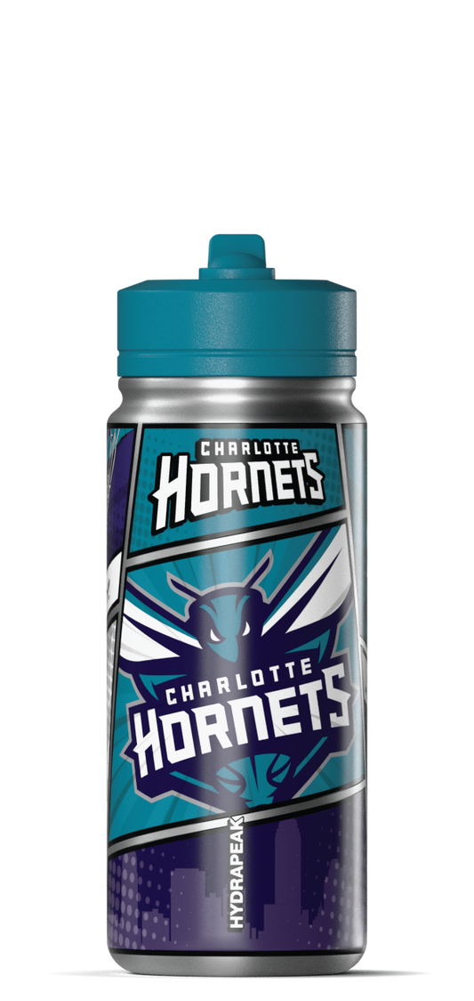 NBA 20oz Active Insulated Water Bottle â€“ Stainless Steel with Straw Lid & Handle - Charlotte Hornets