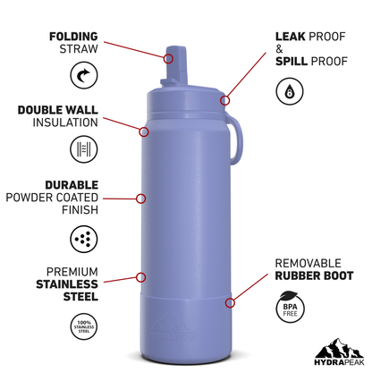 26oz Insulated Water Bottles with Matching Straw Lid and Rubber Boot - Iris