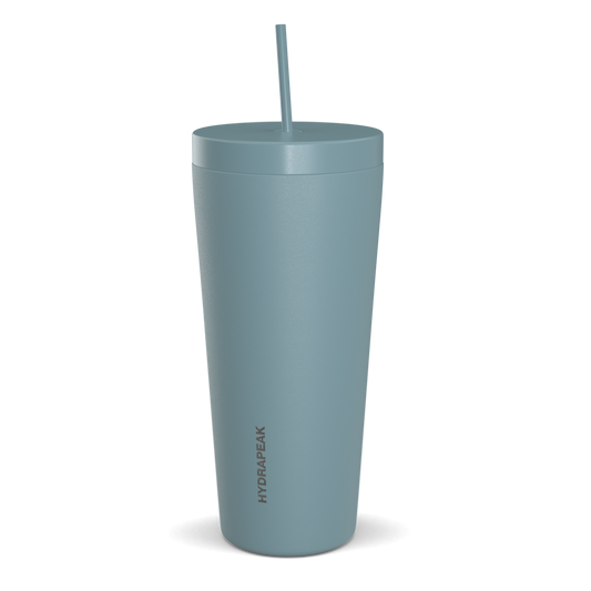 Traveler 25oz Insulated Tumbler with Lid and Straw- Modern Blue