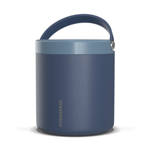 25oz Stainless Steel Vacuum Insulated Thermos Food Jar - Navy