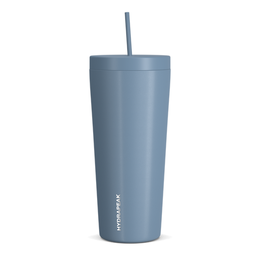 Traveler 25oz Insulated Tumbler with Lid and Straw - Storm